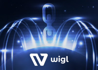 [CAS CLIENT] WIGL : audit tokenomic du projet et de son ICO